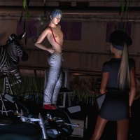 The Story of Deputy Andie Lee of the Carnopolis Imperial Sheriff's Office - How She Became One Of The Silver Seal's Hottest Attractions